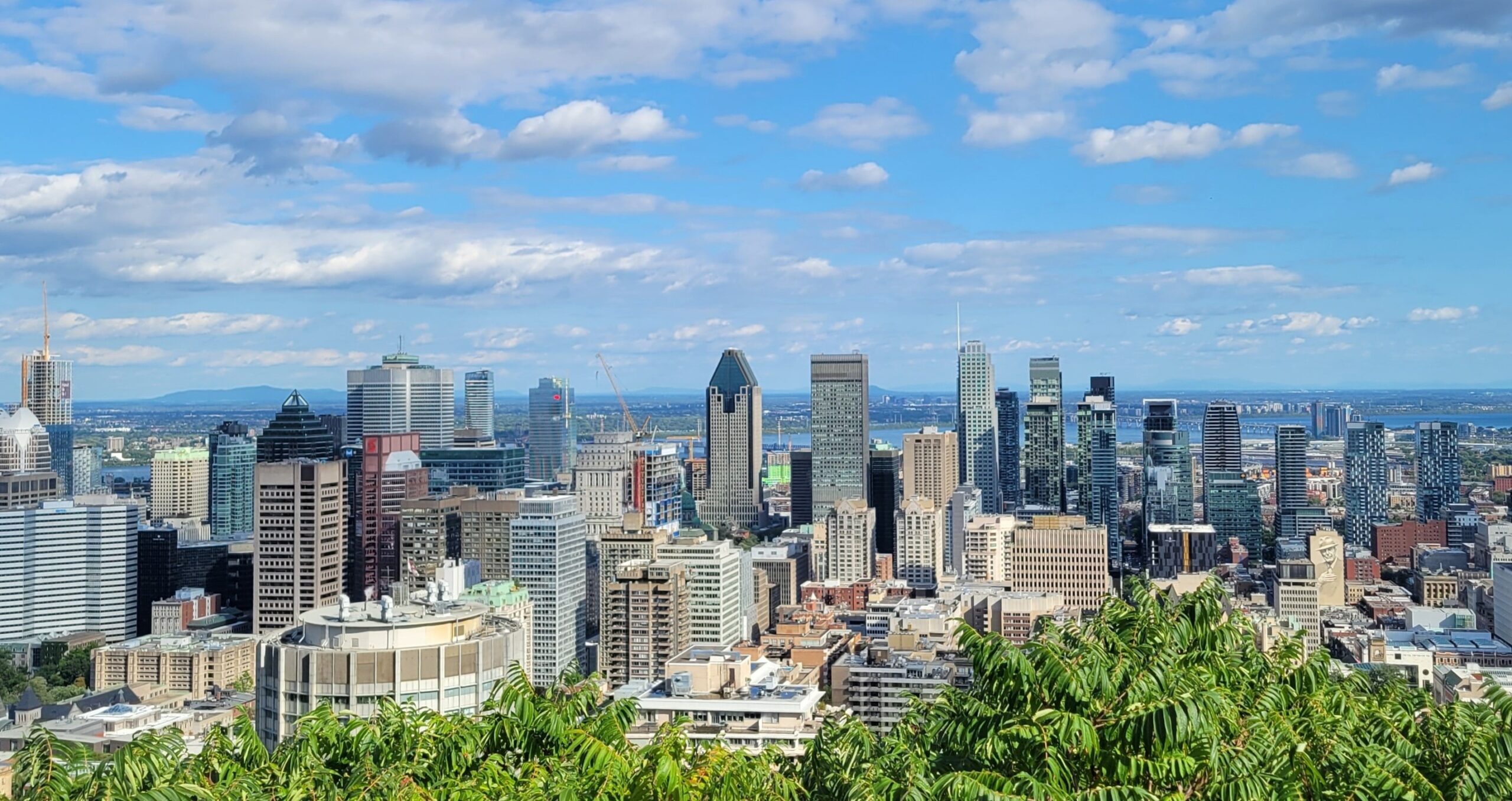 Mtl_from_mont_royal
