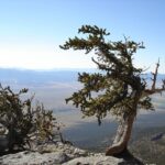 great-basin-national-park