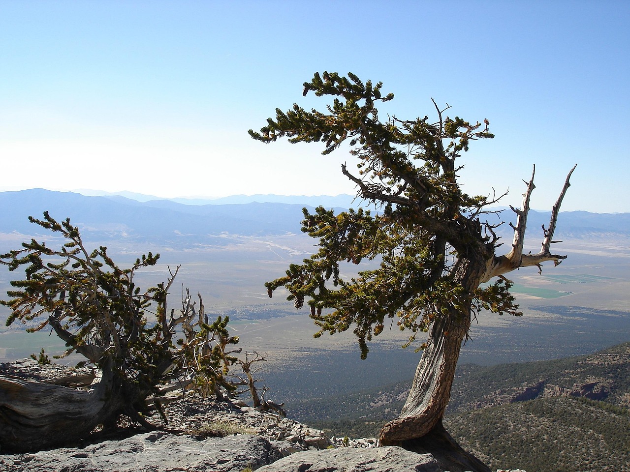 great-basin-national-park