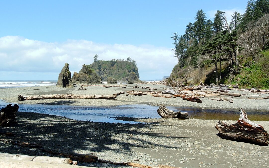 Olympic National Park: Wild Beauty of Washington State