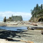 Cedar_Creek_Abbey_Island_Ruby_Beach