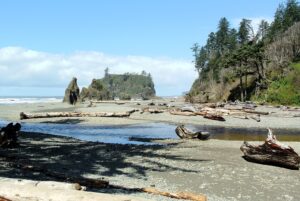 Cedar_Creek_Abbey_Island_Ruby_Beach