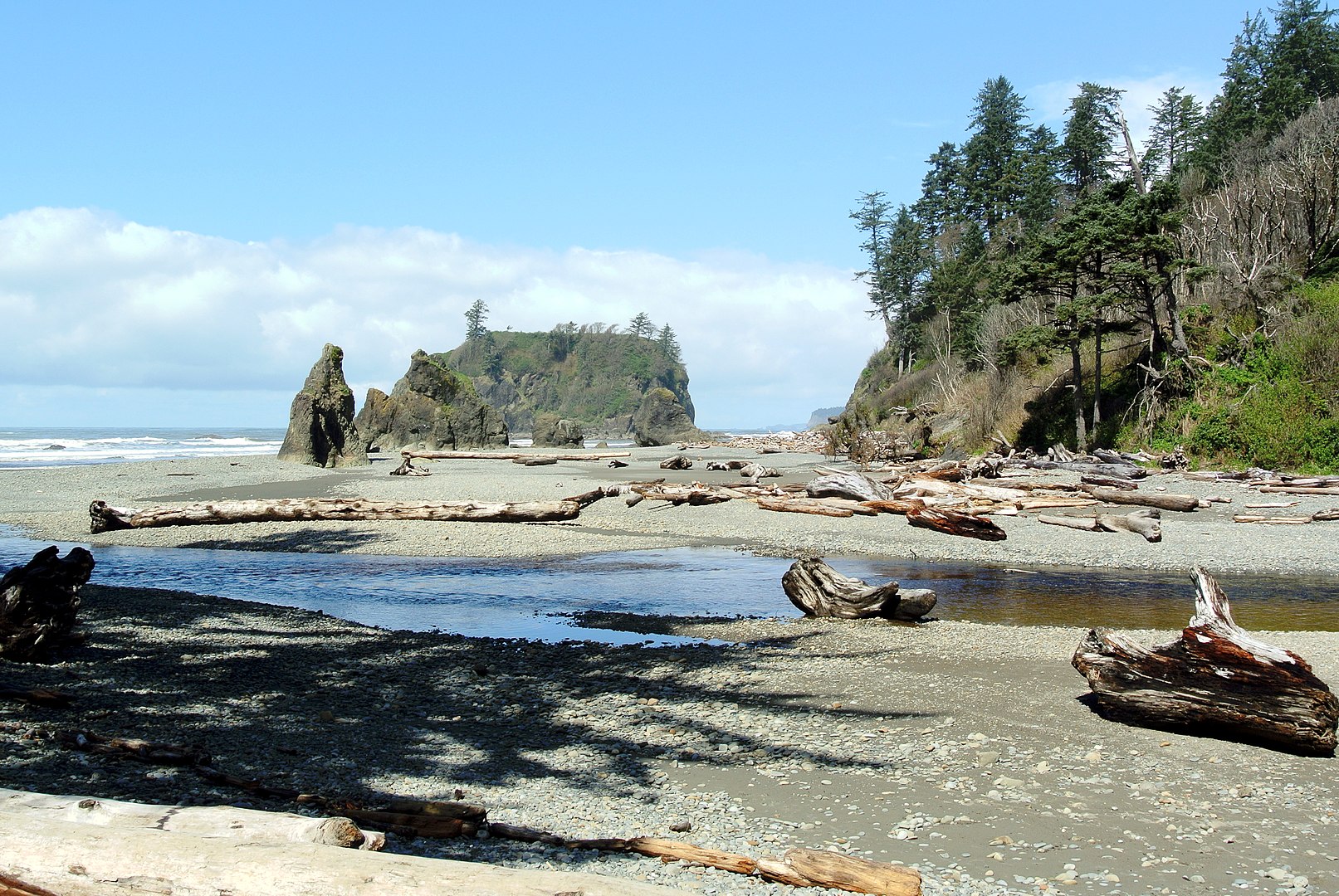 Cedar_Creek_Abbey_Island_Ruby_Beach